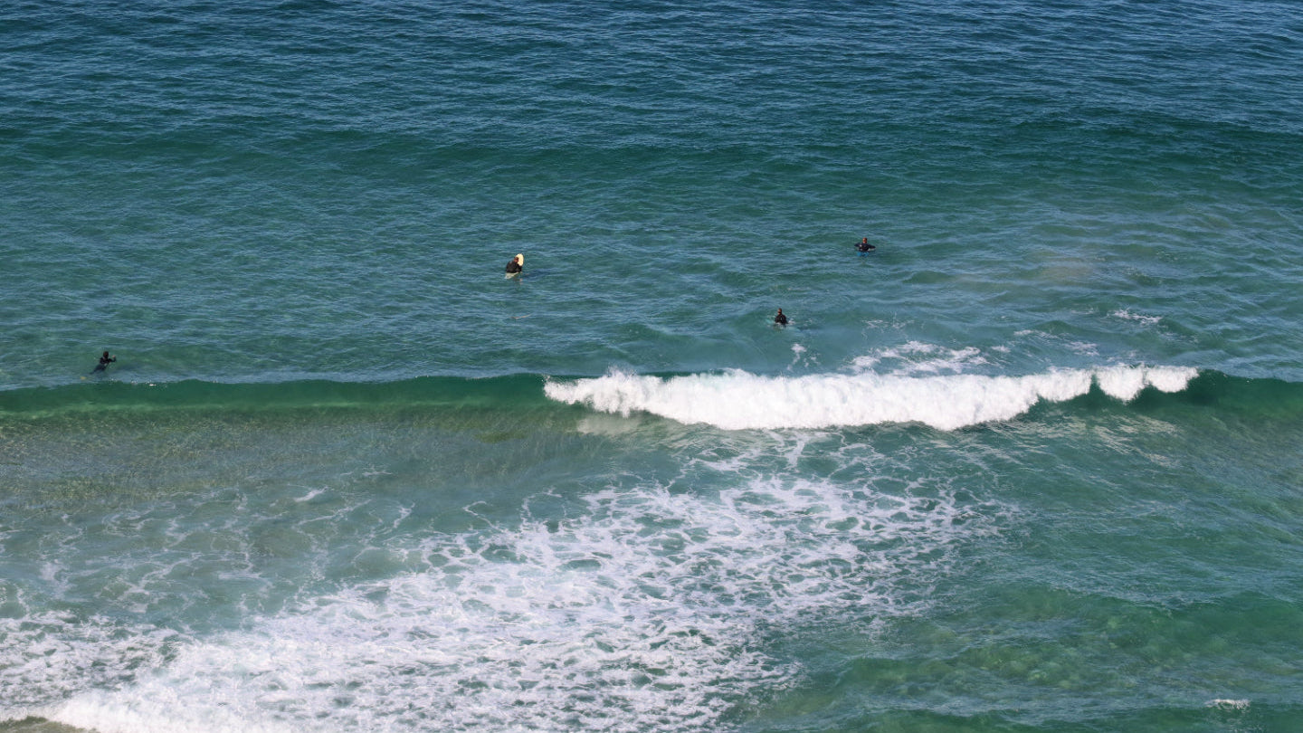Surfers in the ocean with waves and a clear sky